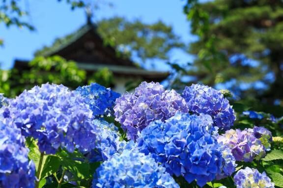 ありがとうございました&#9825;