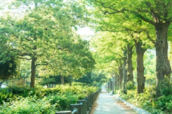 暑い一日でしたね