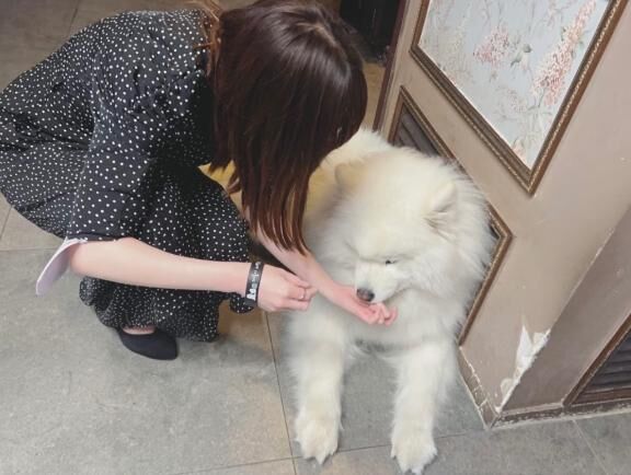 &#10084;&#65039;お知らせ&#10084;&#65039;