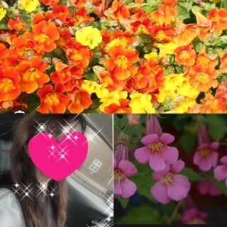 おはようございます♪