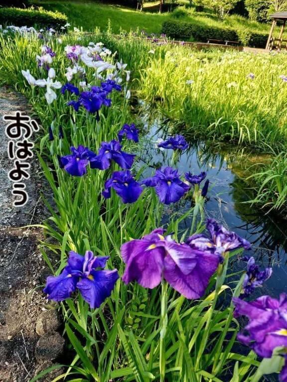 お願いします(^^*)