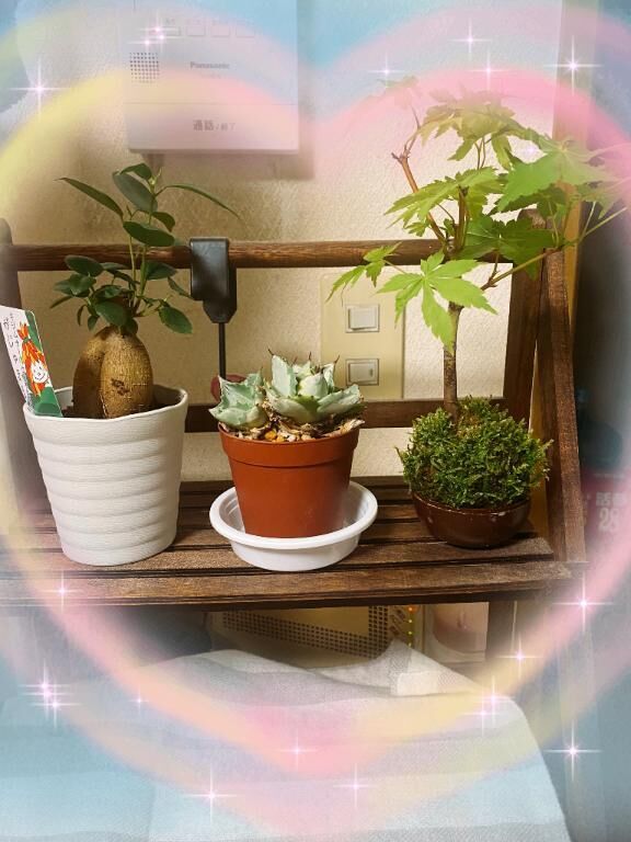 &#9825;日に日に&#9825;.&#9825;