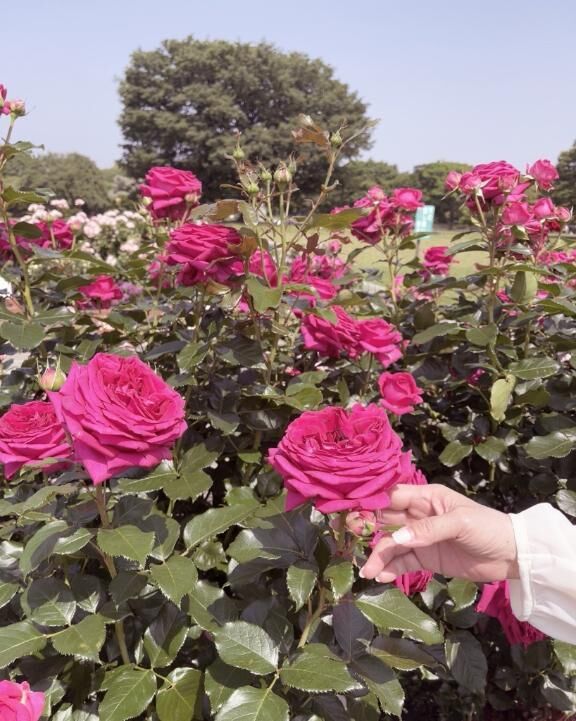 6月2日