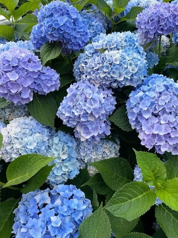 あっという間に！