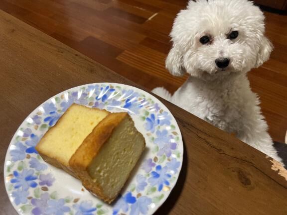 ブランデー&#9825;