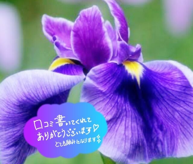 U様ありがとう♪