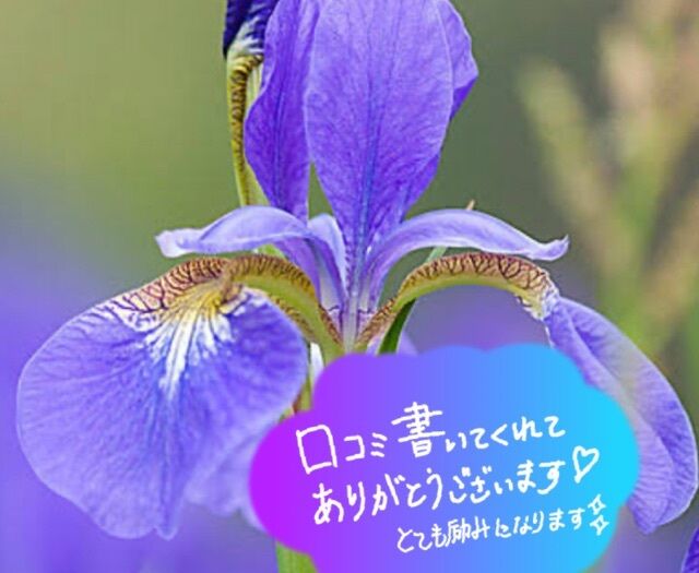 Y様ありがとう♪