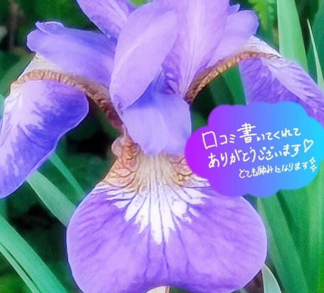 S様にお礼です♪