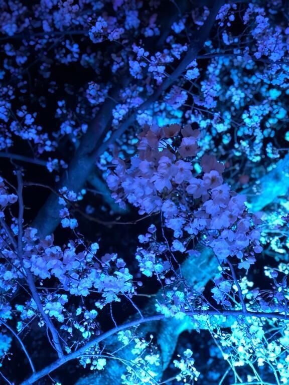 すみません&#128583;&zwj;♀&#65039;