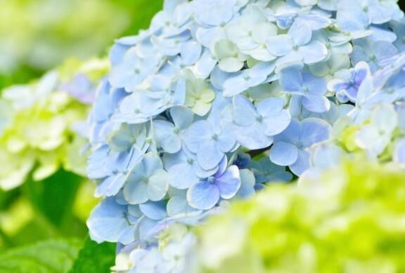 花花　Ｓ様&#128147;