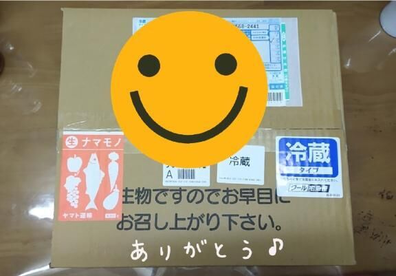 届きました