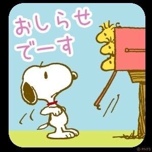 こんばんは