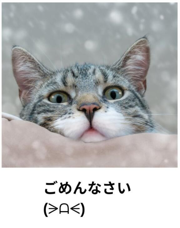 変更です
