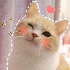 &#10084;&#65039;オキニトークにて&#10084;&#65039;