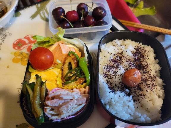 &#127804;今日のお弁当&#127804;