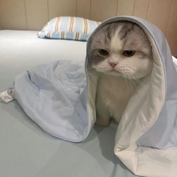 次回出勤&#128715;&#129767;