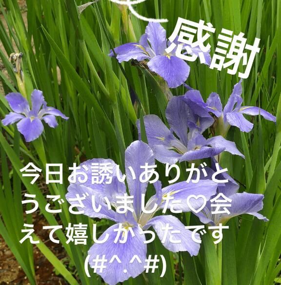 お礼です&#9825;