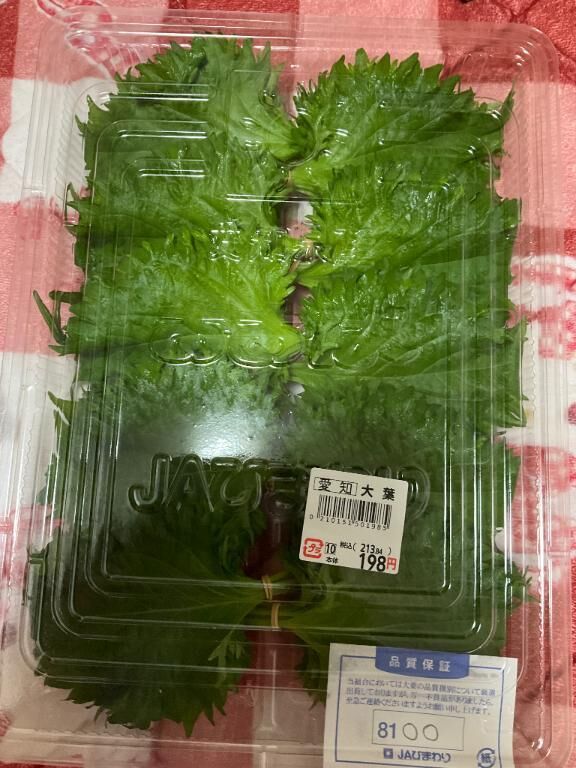 大葉さん