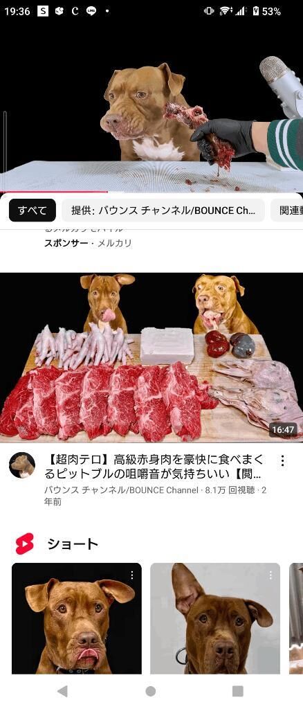 一生見てられる