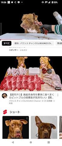 一生見てられる