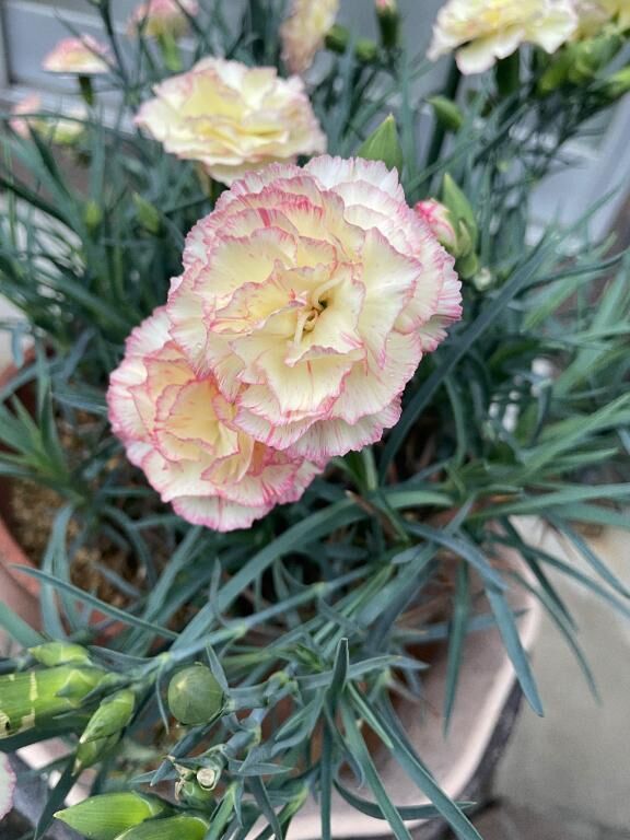 今週日曜日&#9825;&#9825;