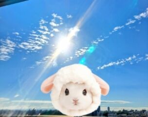 おはようございます