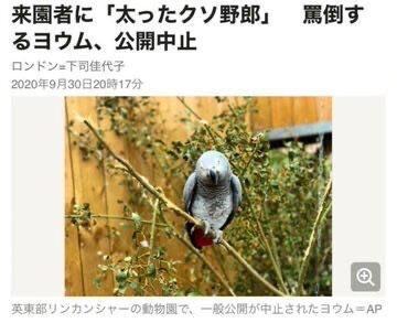 出勤します