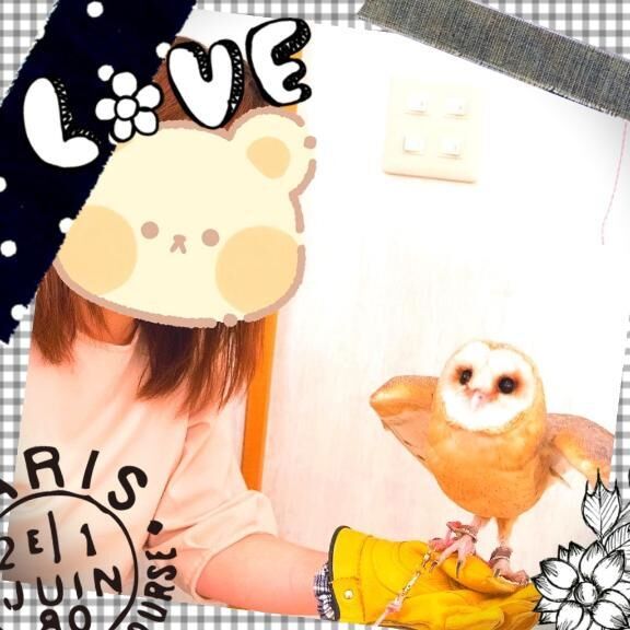 フクロウCafe