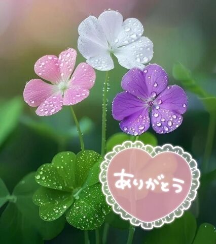 ありがとうございました