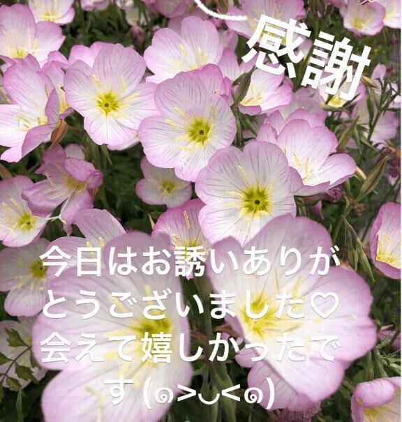 お礼です&#9825;
