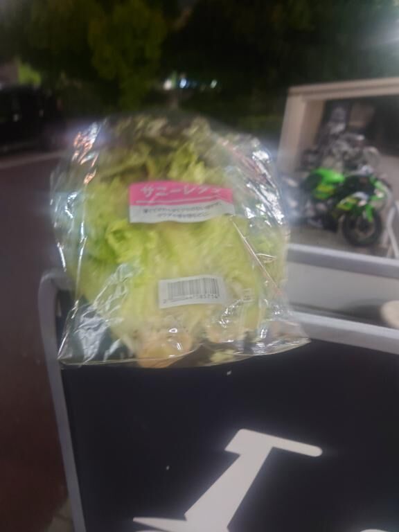 夜散歩なう