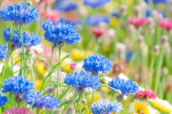 9日、10日出勤になりました&#9786;&#65039;もし良かったらお待ちしてますね&#10024;