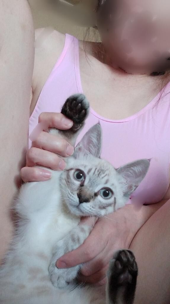 良い天気