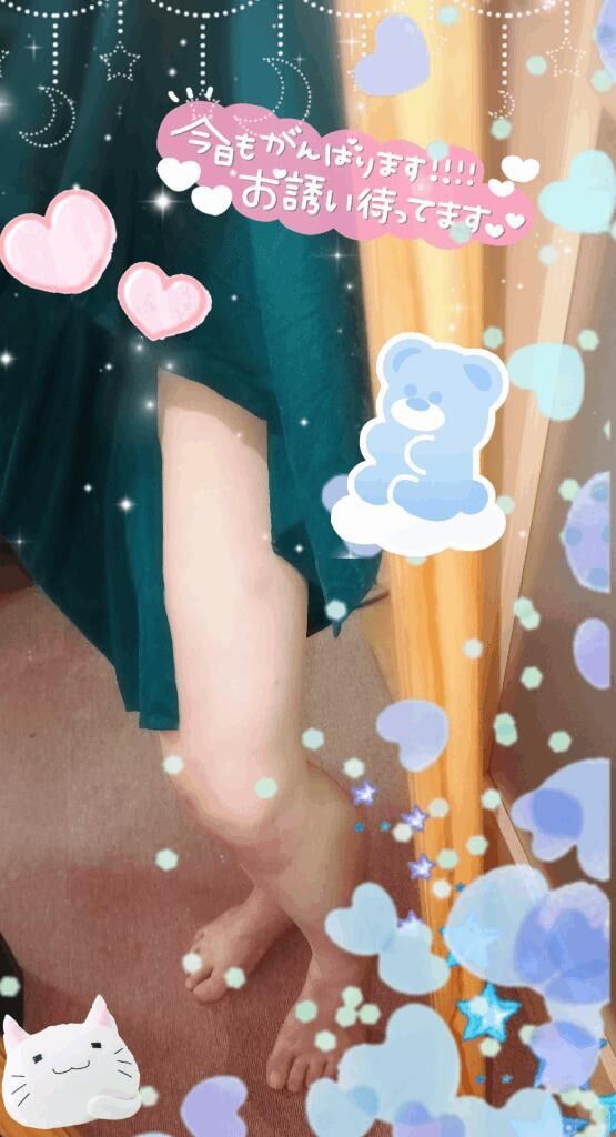 今日も