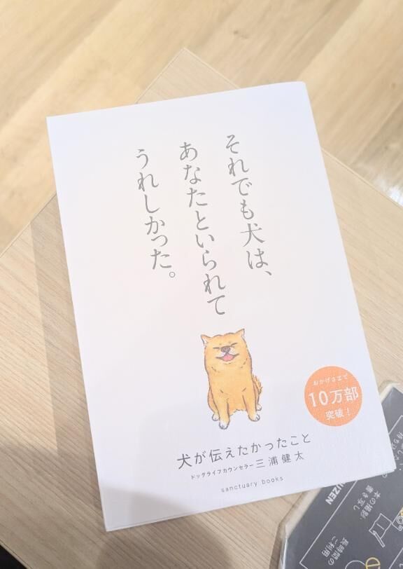 癒やしを
