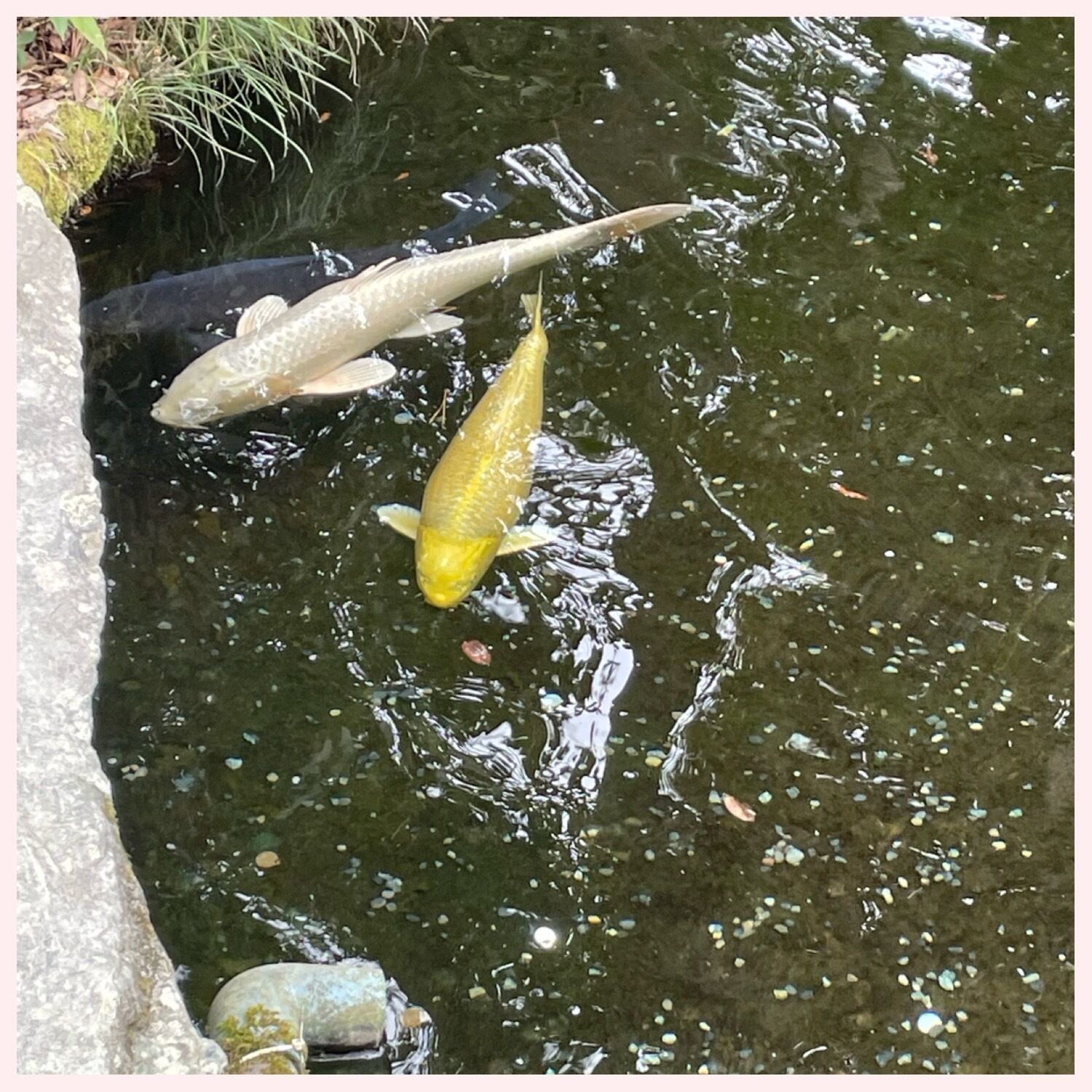 いいお天気☀️