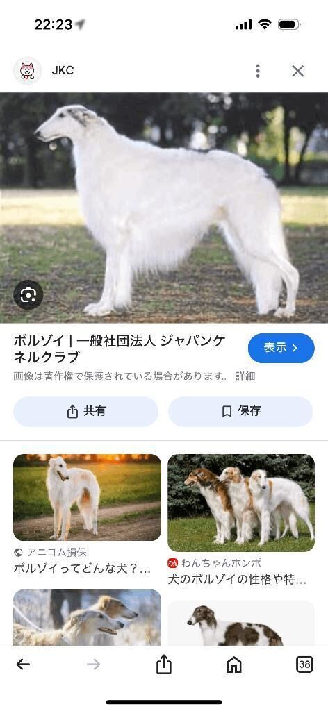 虐め