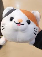 今日は暑かったですね