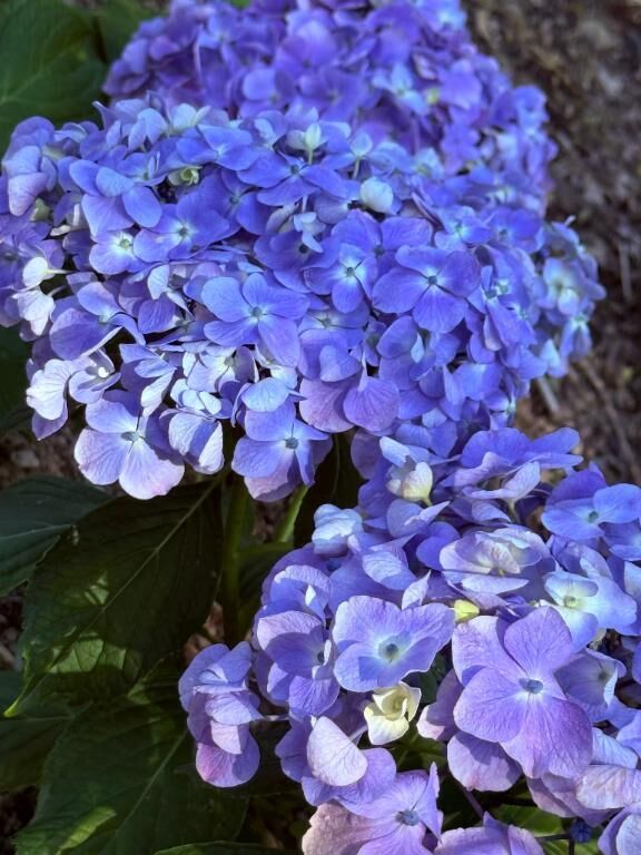 22時~&#9825;