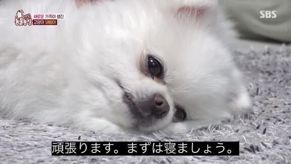 おつりむ