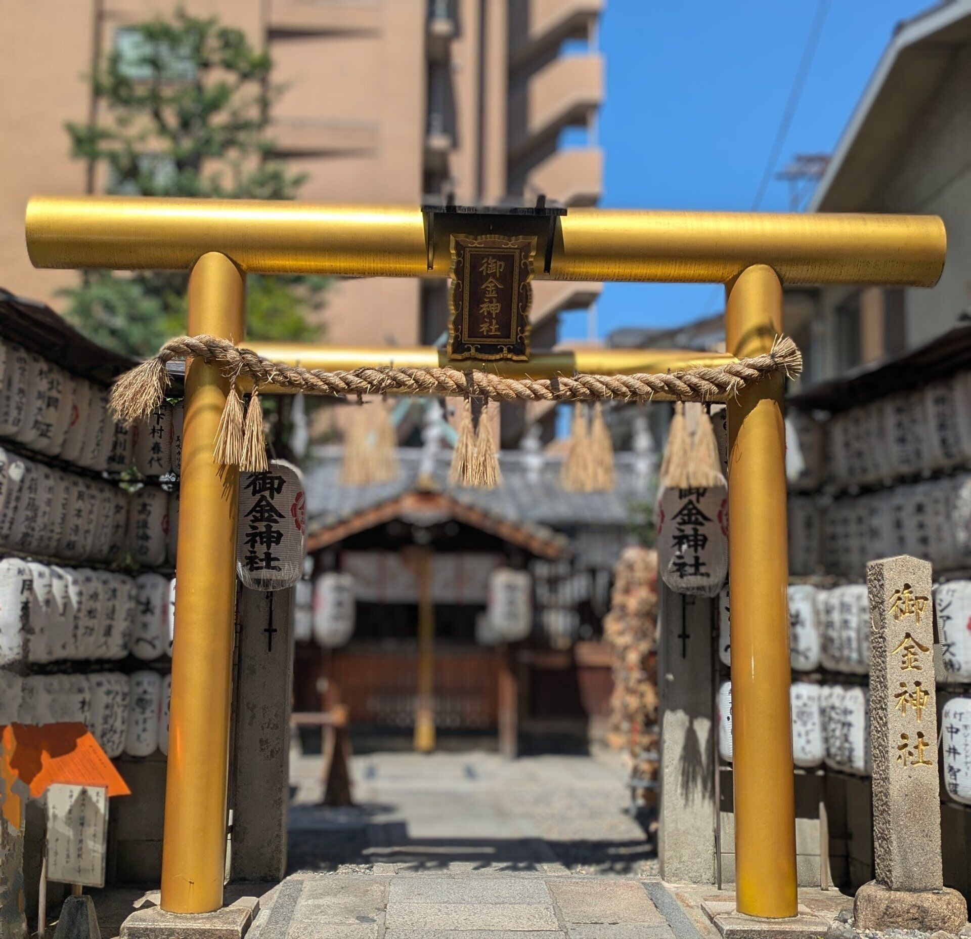 そうだ京都、行こう。