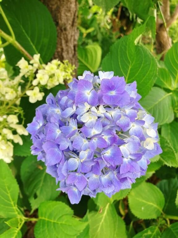 おはようございます♡