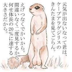 玉きん