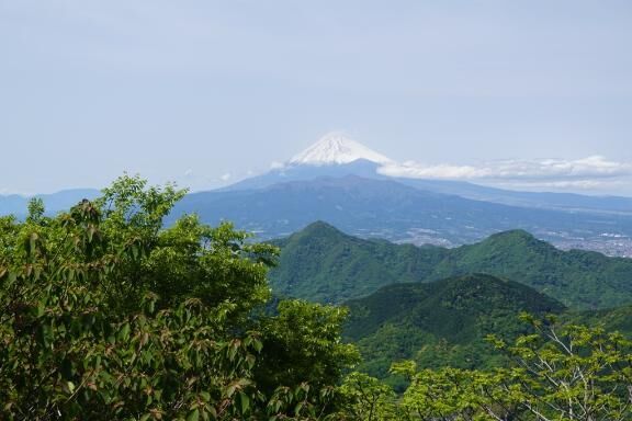 やらかし