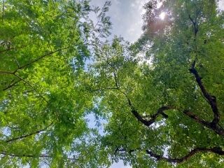 出勤致します