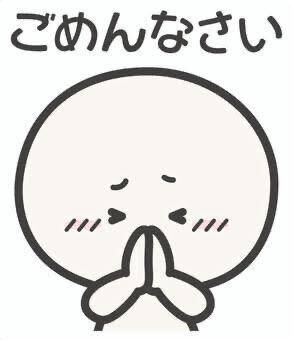 ごめんなさい( ; ; )