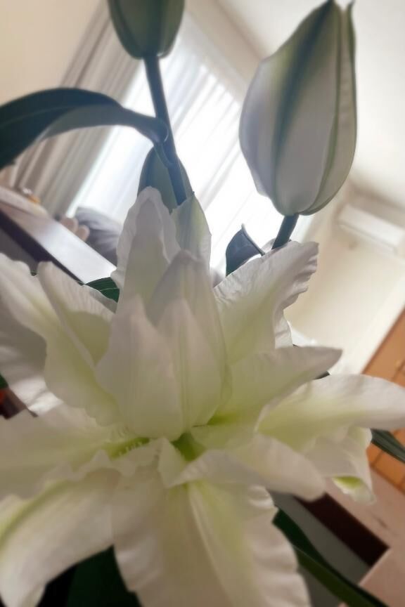 ふつくしい&#9825;