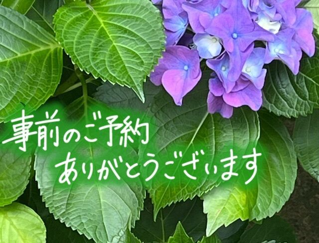 (o^^o)♪