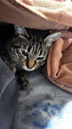 お仕事お疲れさまです