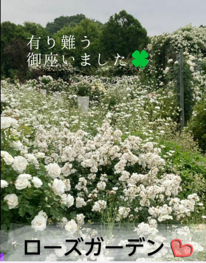 楽器・邦楽・生け花の日＼(^o^)／